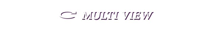 MULTIVIEW
