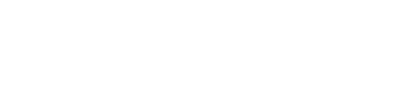 A賞 キングギドラ(1991) MAGNUVICS