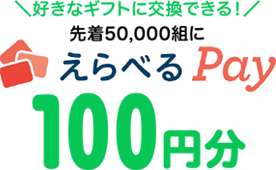 好きなギフトに交換できる！えらべるPay 100円分