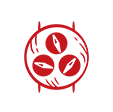 BRAND_ICON