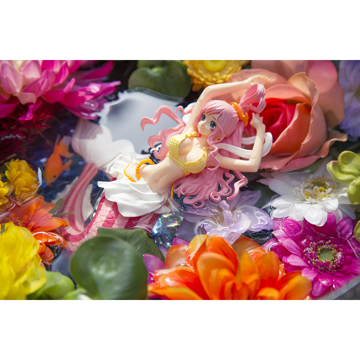 ワンピース　CREATOR×CREATOR－SHIRAHOSHI－