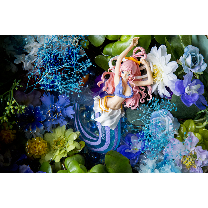 ワンピース　CREATOR×CREATOR－SHIRAHOSHI－