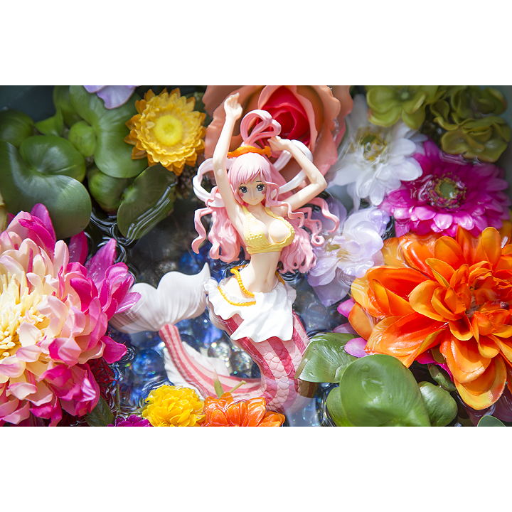 ワンピース　CREATOR×CREATOR－SHIRAHOSHI－