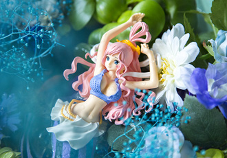 ワンピース　CREATOR×CREATOR－SHIRAHOSHI－
