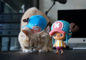 ワンピース　CREATOR×CREATOR－TONYTONY.CHOPPER－