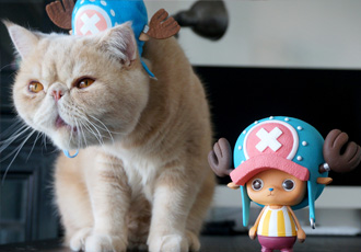 ワンピース　CREATOR×CREATOR－TONYTONY.CHOPPER－