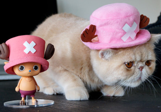 ワンピース　CREATOR×CREATOR－TONYTONY.CHOPPER－