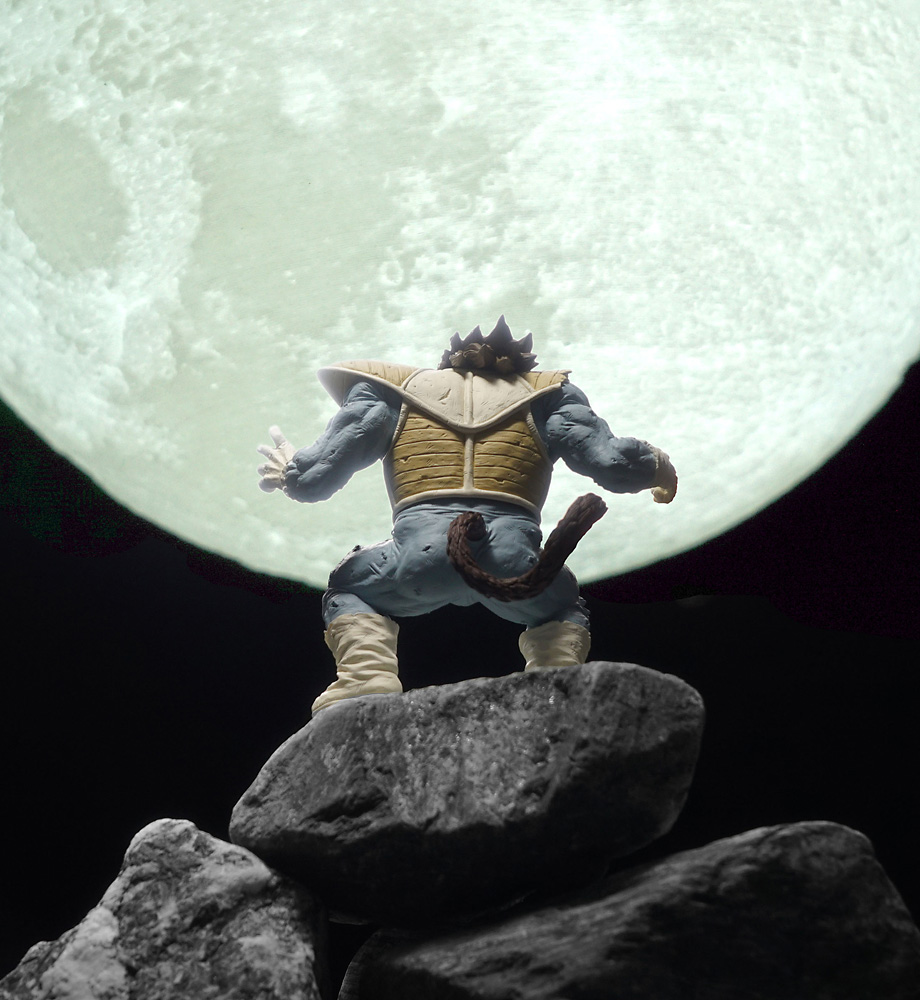OHZARU_VEGETA