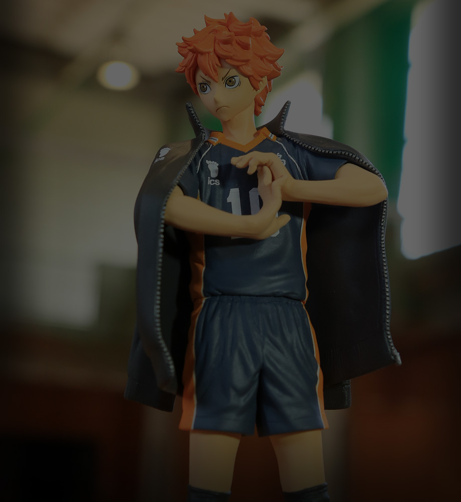 －HINATA SHOYO－