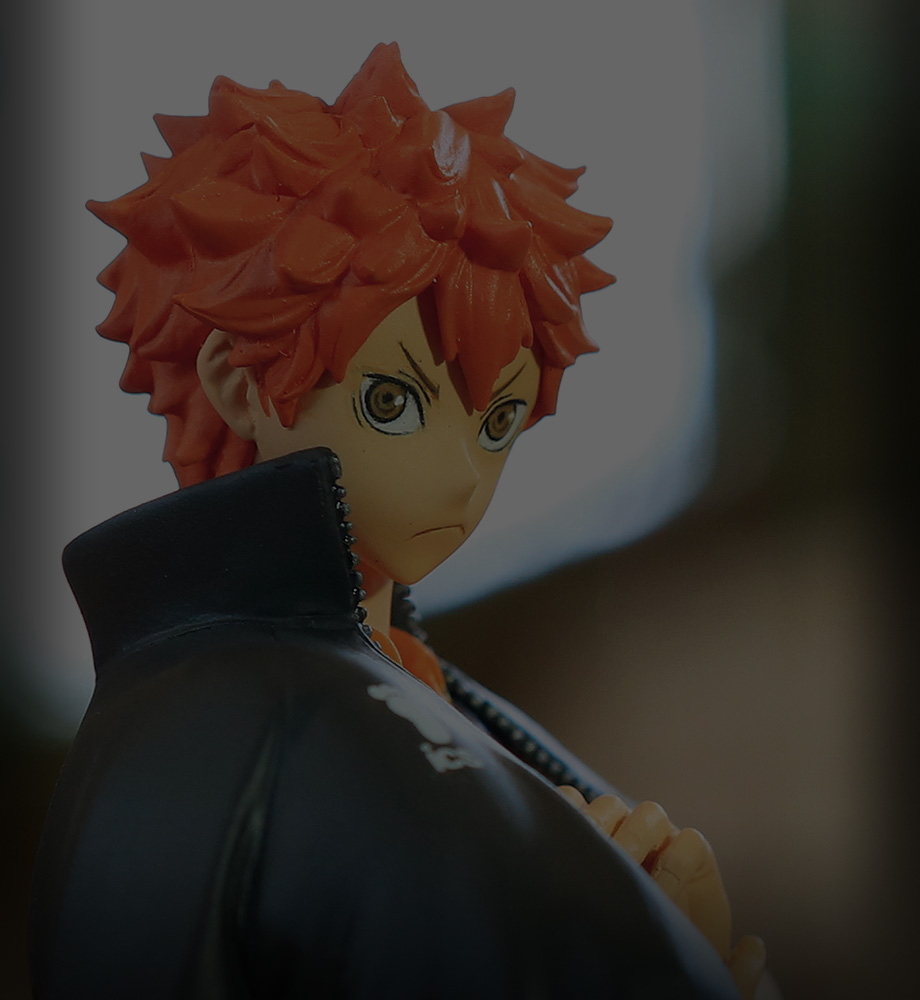 －HINATA SHOYO－