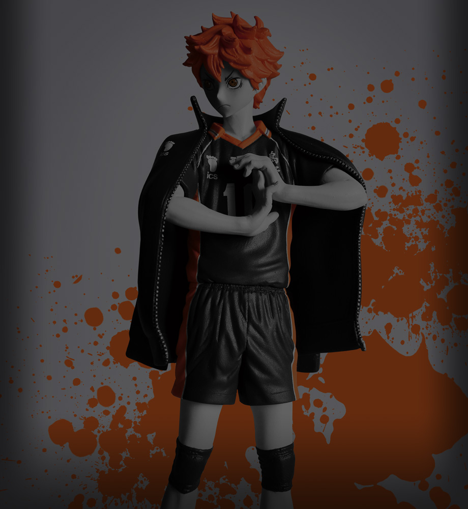 －HINATA SHOYO－