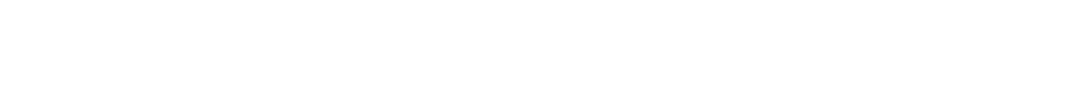 2次審査 審査基準