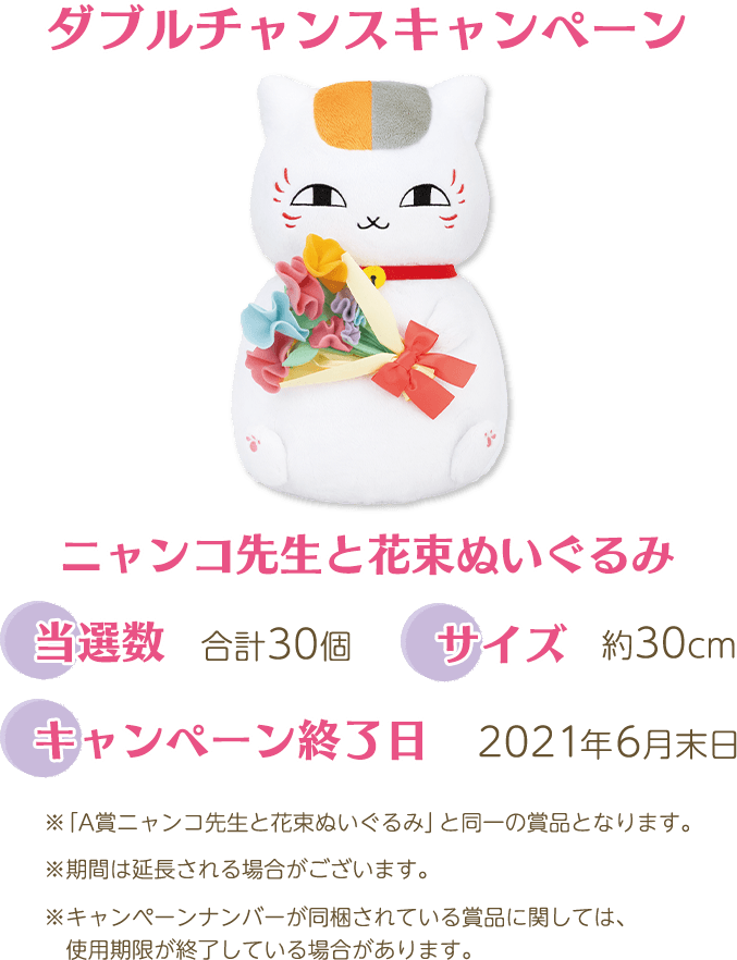 ダブルチャンスキャンペーン