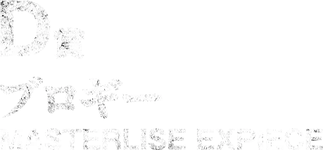 D賞 ブロギー MASTERLISE EXPIECE