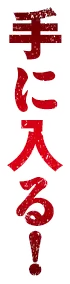 手に入る！