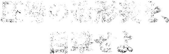 圧巻の造形美を、目撃せよ