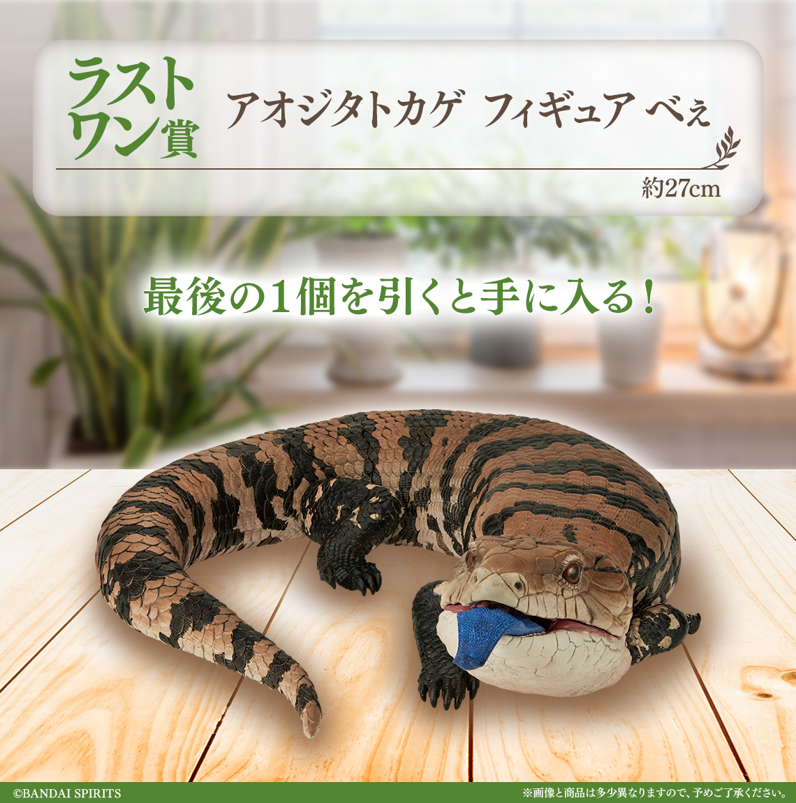Amazon.co.jp: 一番くじ 爬虫類＆両生類～Tiny Friends～ A賞〜H