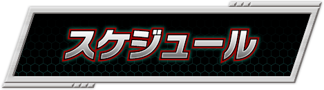 スケジュール