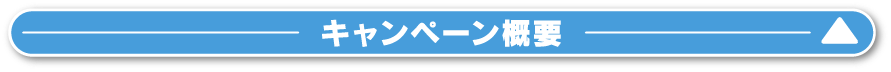 キャンペーン概要