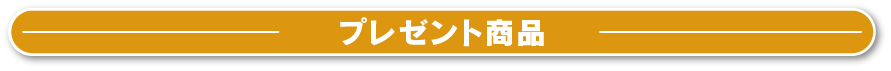 プレゼント商品
